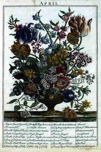 April, from The Flower Garden Displayed by Robert Furber, engraved by James Smith, pub. 1732 by Pieter after Casteels
